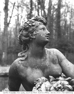 Flora (detay, ayrıca bkz. 252765) (bronz)